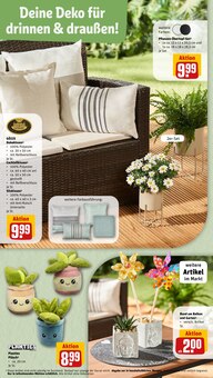Gartenmöbel im REWE Prospekt "Dein Markt" mit 32 Seiten (Siegen (Universitätsstadt))