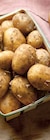 Intermarché Bois-Colombes - Promo Pomme de terre primeur Promo Pomme de terre primeur à 3,39 € dans le catalogue Intermarché à Bois-Colombes