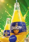 Orangina im Netto Marken-Discount Prospekt Orangina von im aktuellen Netto Marken-Discount Prospekt für 1,00 €