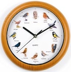 Aktuelle Wanduhr Angebote bei Netto mit dem Scottie in Lübeck Aktuelles Vogeluhr Angebot bei Netto mit dem Scottie in Lübeck ab 7,99 €