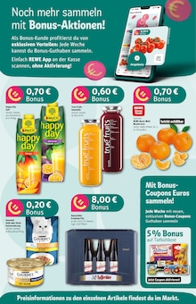 Aktueller REWE Prospekt