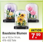 Bausteine Blumen für 7,99 € bei Zimmermann im Angebot Bausteine Blumen im aktuellen Zimmermann Prospekt
