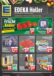 EDEKA Prospekt "Wir lieben Lebensmittel!" für Ehingen, 28 Seiten, 24.11.2025 - 29.11.2025