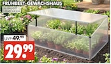 Frühbeet-Gewächshaus Angebote bei Wreesmann Cuxhaven für 29,99 €