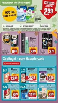 Katzenfutter im REWE Prospekt "Dein Markt" mit 24 Seiten (München)
