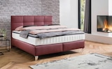 Boxspringbett von novel für 2.299,00 € bei XXXLutz Möbelhäuser im Angebot Boxspringbett von novel im aktuellen XXXLutz Möbelhäuser Prospekt