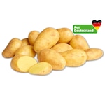 Aktuelles MARKTLIEBE Deutsche Kartoffeln Angebot bei Penny in Halle (Saale) ab 2,29 €