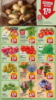 Blumen im aktuellen REWE Prospekt (Karlsruhe) Blumen im REWE Prospekt "Dein Markt" mit 24 Seiten (Karlsruhe)