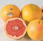 Bio-Grapefruit im tegut Prospekt Bio-Grapefruit von demeter tegut... im aktuellen tegut Prospekt für 1,00 €