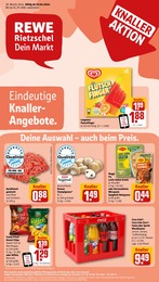 REWE Prospekt für Augsburg: "Dein Markt", 20 Seiten, 29.04.2024 - 04.05.2024