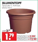 Blumentopf im Angebot bei Wreesmann in Aurich Blumentopf Angebote bei Wreesmann Aurich für 1,79 €