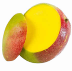 Mango Angebote bei Netto Marken-Discount Gütersloh für 1,00 €