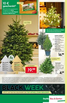 Pflanzen im aktuellen BayWa Bau- und Gartenmärkte Prospekt (Nürnberg) Pflanzen im BayWa Bau- und Gartenmärkte Prospekt "Hier bin ich gern" mit 24 Seiten (Nürnberg)