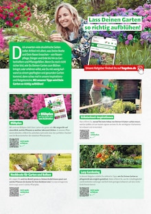 Rasenmäher im Hagebaumarkt Prospekt "GARTENBEDARF" mit 32 Seiten (Mainz)