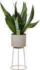 Pot pour plante avec support - LIVARNO - Lidl à Poitiers Pot pour plante avec support - LIVARNO en promo chez Lidl Poitiers à 4,79 €