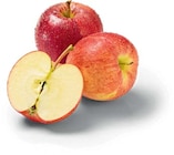 Äpfel rot bei Netto Marken-Discount im Prospekt "" für 1,49 €