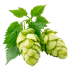 Cero 0.0 % bei Kaufland im Essen Prospekt für 0,88 €