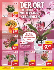 Blumen im Netto Marken-Discount Prospekt "Aktuelle Angebote" mit 55 Seiten (Regensburg)
