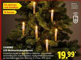 LED-Weihnachtsbaumkerzen Angebote von LIVARNO bei Lidl Neu-Ulm für 19,99 €