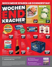 Persil im famila Nordost Prospekt in Falkensee Aktueller famila Nordost Prospekt mit Persil, "besser als gut!", Seite 24