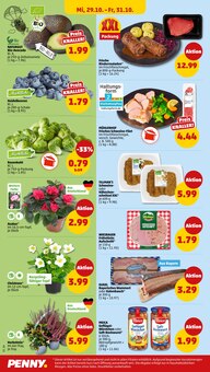 Fleisch im aktuellen Penny Prospekt (Augsburg) Fleisch im Penny Prospekt "Wer gĂĽnstig will, muss Penny." mit 45 Seiten (Augsburg)