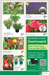 Gemüsepflanzen Angebot im aktuellen BayWa Bau- und Gartenmärkte Prospekt auf Seite 15