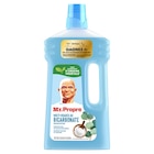 Nettoyant ménager - MR PROPRE en promo chez Carrefour Nettoyant ménager - MR PROPRE dans le catalogue Carrefour