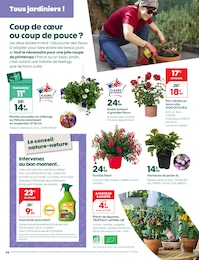 Prix et réduction Hortensia dans le prospectus Truffaut en cours Offre Hortensia dans le catalogue Truffaut du moment à la page 4