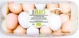 Bio Eier von GO BIO für 3,39 € bei Netto mit dem Scottie im Angebot Bio Eier von GO BIO im aktuellen Netto mit dem Scottie Prospekt