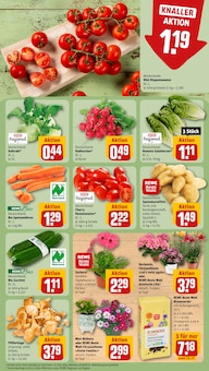 Pfifferlinge im REWE Prospekt "Dein Markt" mit 28 Seiten (Gelsenkirchen)