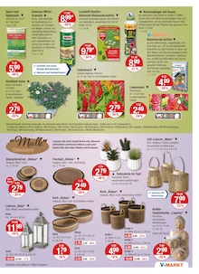 Laterne Angebot im V-Markt Prospekt, gültig von 10.07.2025 bis 16.07.2025 Laterne Angebot im aktuellen V-Markt Prospekt auf Seite 15