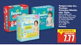 baby-dry im Angebot bei E center in Falkensee baby-dry Angebote von Pampers bei E center Falkensee für 7,77 €