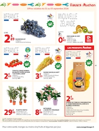 Prix et réduction Plante D'intérieur dans le prospectus Auchan Hypermarché en cours Offre Plante D'intérieur dans le catalogue Auchan Hypermarché du moment à la page 49