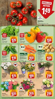Paprika im aktuellen REWE Prospekt (Mannheim) Paprika im REWE Prospekt "Dein Markt" mit 28 Seiten (Mannheim)