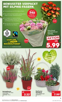 Blumen im aktuellen Kaufland Prospekt (Rostock) Blumen im Kaufland Prospekt "Aktuelle Angebote" mit 59 Seiten (Rostock)