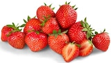 Premium Erdbeeren im Angebot bei REWE in Flensburg Premium Erdbeeren Angebote von REWE Beste Wahl bei REWE Flensburg für 2,49 €
