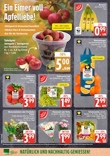 Pute im EDEKA Prospekt "Top Angebote" mit 12 Seiten (Kiel)