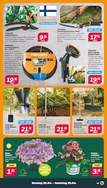 Gartenschere Angebote im Prospekt "Günstig. Besser. Für Dich." von Netto mit dem Scottie auf Seite 19