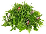 Wildkräuter Salat Angebote von REWE Beste Wahl bei REWE Schwerte für 0,99 €