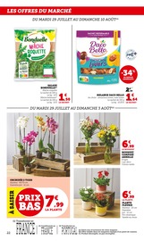 Orchidée Angebote im Prospekt "Super U" von Super U auf Seite 22