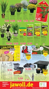 Werkzeug Angebot im aktuellen Jawoll Prospekt auf Seite 12
