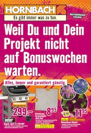 Hornbach Prospekt für Landau (Pfalz) mit 33 Seiten Hornbach Prospekt für Landau (Pfalz): "Dir ist vieles Latte. Nur nicht Dein Garten.", 33 Seiten, 25.06.2025 - 23.07.2025