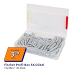 Profi-Box SX Dübel von Fischer im aktuellen Action Prospekt für 3,99 €