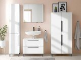 Hochschrank im Angebot bei Zurbrüggen in Gelsenkirchen Hochschrank Angebote bei Zurbrüggen Gelsenkirchen für 14,00 €