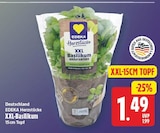 XXL-Basilikum von EDEKA Herzstücke im aktuellen E center Prospekt