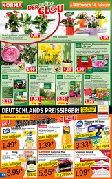 Lidl Blumenerde Angebot & Preis im aktuellen Prospekt 🧡