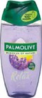 Duschgel Angebote von Palmolive bei Netto Marken-Discount Halberstadt für 1,49 €