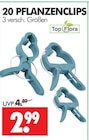 20 PFLANZENCLIPS im Angebot bei Wreesmann in Dresden 20 PFLANZENCLIPS Angebote von Top Flora bei Wreesmann Dresden für 2,99 €