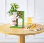 Kalanchoe Figurine Professeur en promo chez Super U Kalanchoe Figurine Professeur dans le catalogue Super U