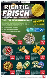 Garnelen im Kaufland Prospekt in Worms Aktueller Kaufland Prospekt mit Garnelen, "Hier bin ich richtig", Seite 42